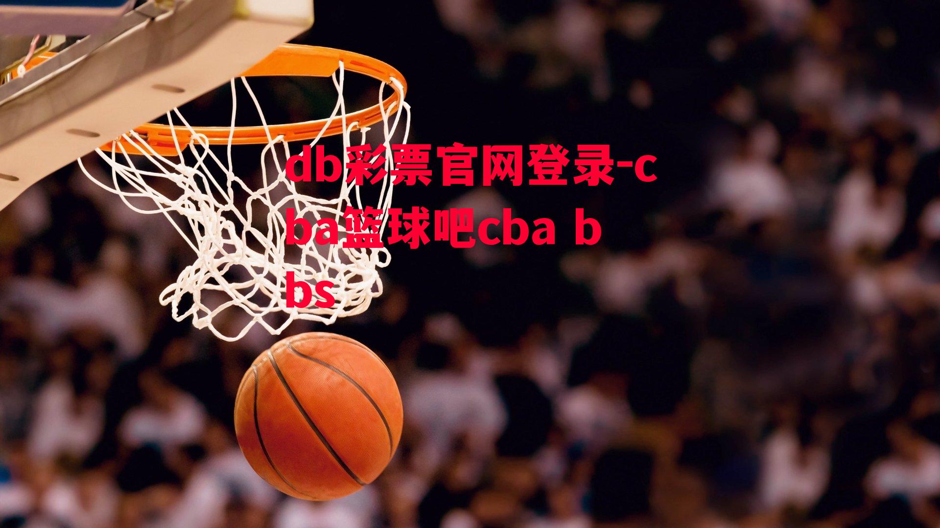 db彩票官网登录-cba篮球吧cba bbs